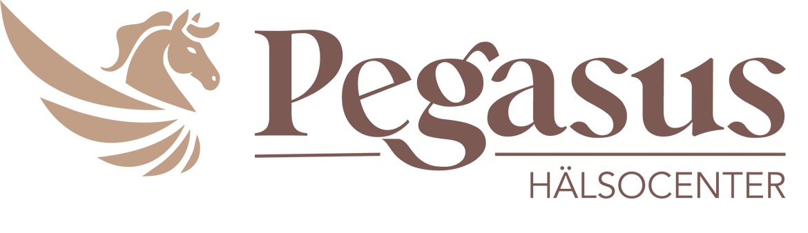 Pegasus logotyp, illustration av en häst med vingar och texten Pegasus hälsocenter.