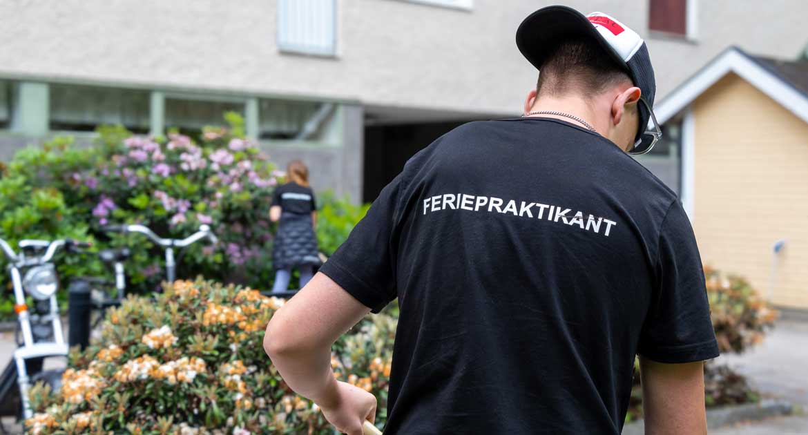 Ryggen på en feriepraktikant där t-shirten har texten 