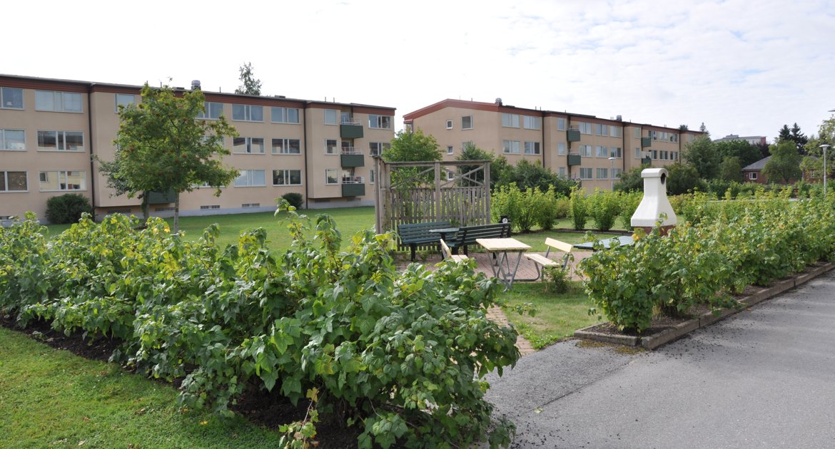 Exteriörbild på Tengvaössgatan med sittplats och vinbärsbuskar i förgrunden