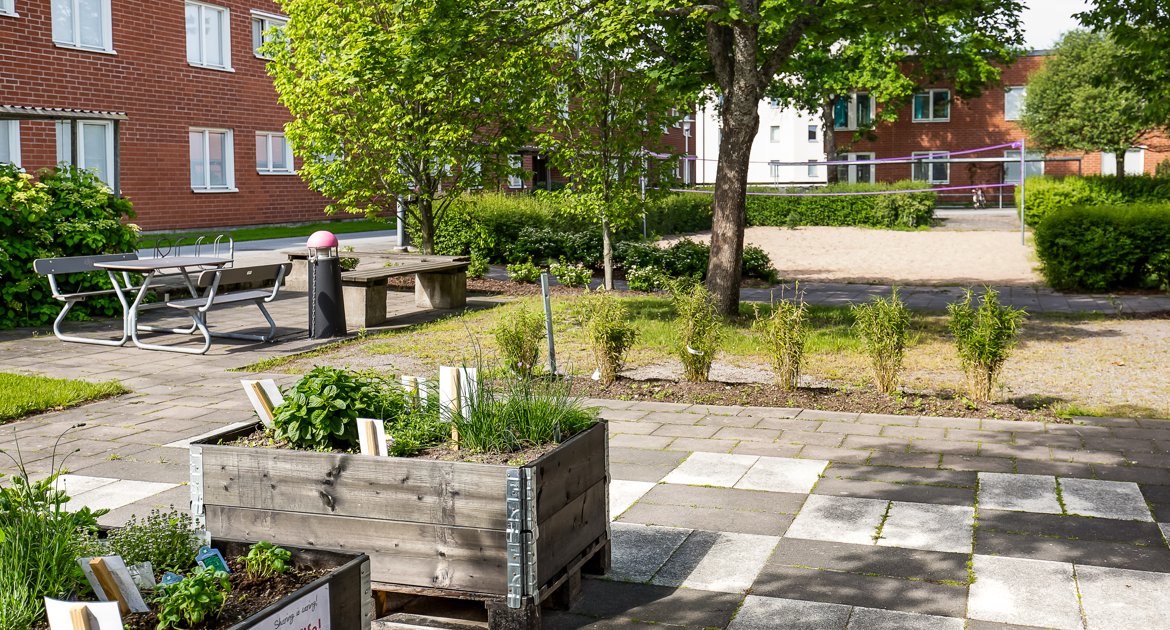 Gemensam uteplats på Studentgatan med sittplatser och odlingar.