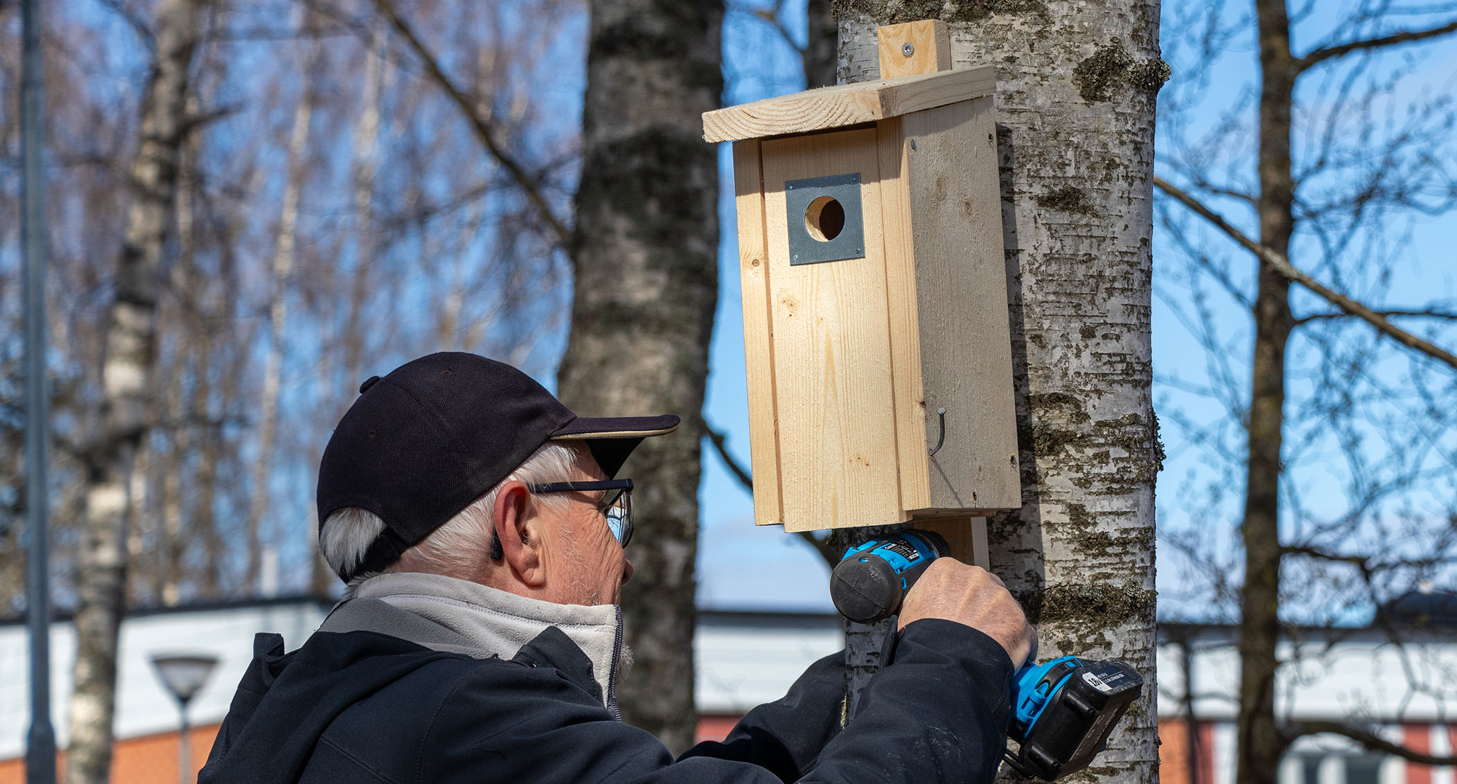 Ornitolog från NOF sätter upp fågelholk på träd.